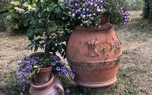 Photos éffectuées par les clients de Villa Flora