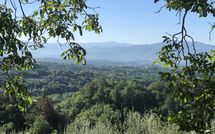 Photos éffectuées par les clients de Villa Flora