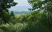 Photos éffectuées par les clients de Villa Filippo