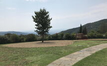 Photos éffectuées par les clients de Villa Ortaglia