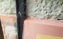 Photos éffectuées par les clients de Tara