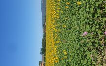 Photos éffectuées par les clients de Borgo Casa di Lappi