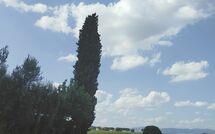 Photos éffectuées par les clients de Villa Il Cedro