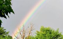 Photos éffectuées par les clients de Pagliazzone