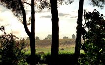 Photos éffectuées par les clients de Pagliazzone