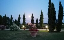 Photos éffectuées par les clients de Podere Marcigliano