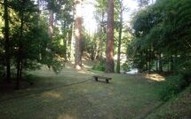 Photos éffectuées par les clients de Villa della Nave