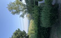 Photos éffectuées par les clients de Magrini