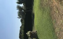 Photos éffectuées par les clients de Poderino