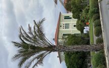 Photos éffectuées par les clients de Villa Nicodemi