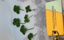 Photos éffectuées par les clients de Contessa di Gaiole