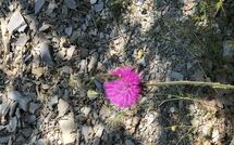 Photos éffectuées par les clients de Contessa di Gaiole