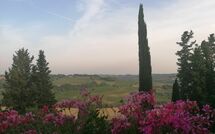 Photos éffectuées par les clients de Montegufoni