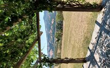 Photos éffectuées par les clients de Scansano 100