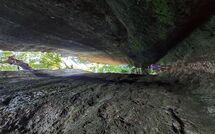 Photos éffectuées par les clients de Scansano 100