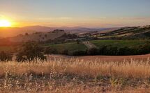 Photos éffectuées par les clients de Scansano 100
