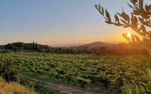 Photos éffectuées par les clients de Villa Giotto