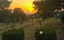 Photos éffectuées par les clients de Fattoria le Chianacce