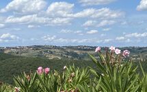 Photos éffectuées par les clients de Fattoria di Quercia al Poggio
