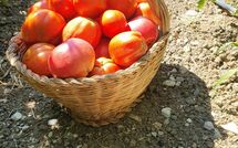 Photos éffectuées par les clients de Torre del Cielo