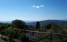 Photos éffectuées par les clients de Casetta i Ciliegi