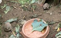 Photos éffectuées par les clients de Ca di Maestro