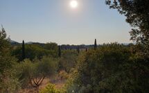 Photos éffectuées par les clients de Campo Valerio