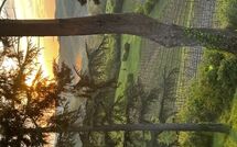 Photos éffectuées par les clients de Radda in Chianti 850