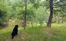 Photos éffectuées par les clients de Vignoli