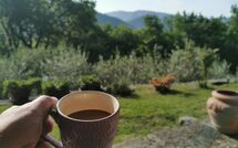 Photos éffectuées par les clients de Vignoli