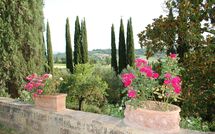 Photos éffectuées par les clients de Tenuta Il Tresto