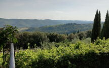 Photos éffectuées par les clients de Pozza di Volpaia