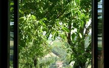 Photos éffectuées par les clients de Val di Gallo 4