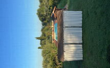 Photos éffectuées par les clients de Campolacconi