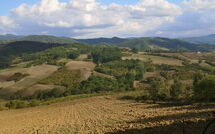 Photos éffectuées par les clients de Villa del Conte