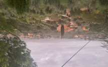 Photos éffectuées par les clients de Il Poggiolo