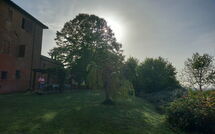 Photos éffectuées par les clients de Chiusi 607