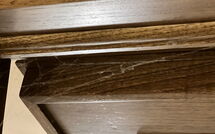 Photos éffectuées par les clients de La Cipressa