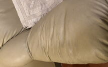 Photos éffectuées par les clients de La Cipressa