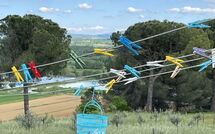 Photos éffectuées par les clients de Poggio Falcone