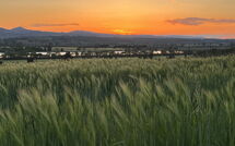 Photos éffectuées par les clients de Poggio Falcone