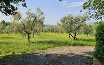 Photos éffectuées par les clients de Il Fontanino