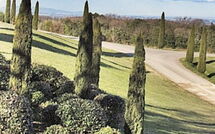 Photos éffectuées par les clients de La Rimessa