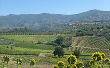 Photos éffectuées par les clients de Il Leccio