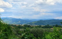 Photos éffectuées par les clients de La Ripresa