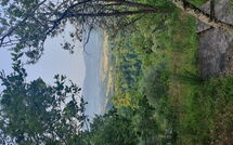 Photos éffectuées par les clients de La Ripresa