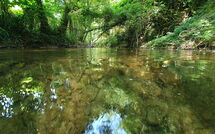 Photos éffectuées par les clients de La Ripresa