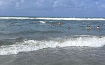 Photos éffectuées par les clients de Al Magliano