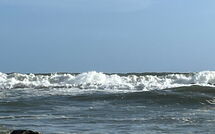 Photos éffectuées par les clients de Al Magliano