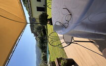 Photos éffectuées par les clients de Orangerie degli Ulivi